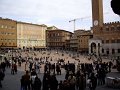 sienne piazza del campo01